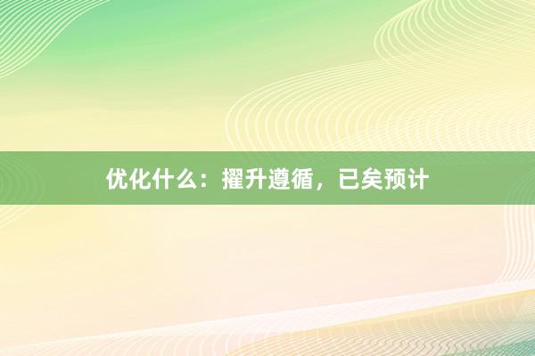 优化什么：擢升遵循，已矣预计